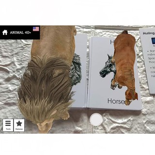 Bộ Thẻ Học 4D Siêu Hot