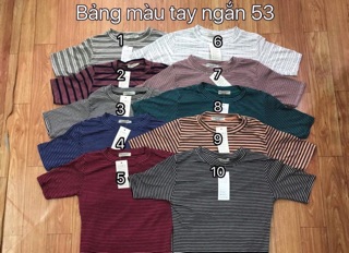 áo thun cổ tròn