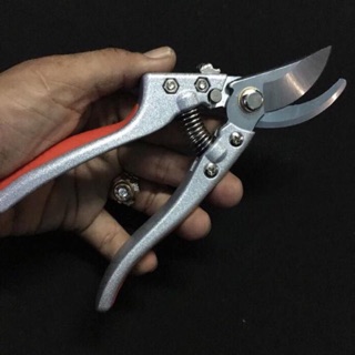 Kéo cắt cao cấp