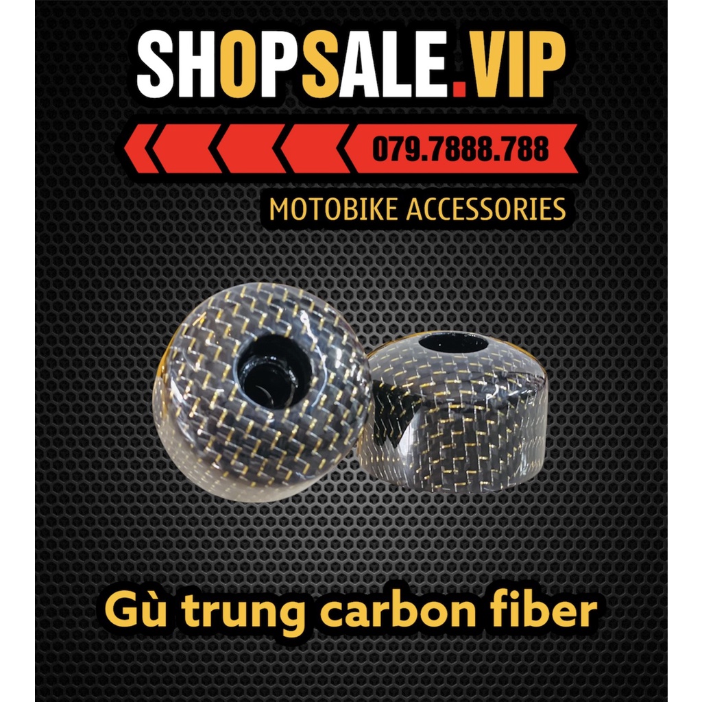 Gù Trung Carbon V2