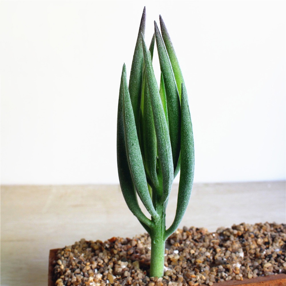 Chậu cây bonsai nhỏ nhân tạo để bàn trang trí nhà cửa / văn phòng