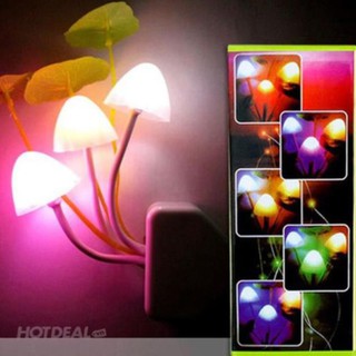 Đèn Ngủ Cảm Ứng Hình Nấm CỰC CUTE 13K HQ192