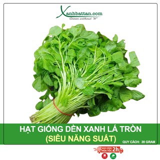 Hạt Giống Dền Xanh Lá Tròn Phú Nông Gói 20 Gram