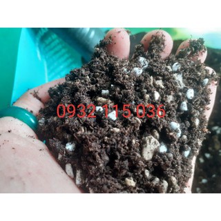 Đất Trồng Sen Đá (Gói 500gr) Trồng Sen Đá, Xương Rồng, Cây Mọng Nước