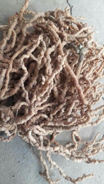 Ba kích tím chuẩn hàng Việt Nam [1kg]