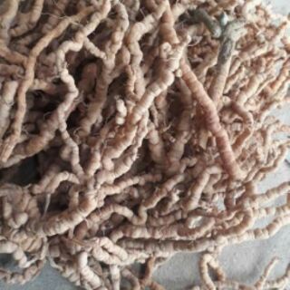 Ba kích tím chuẩn hàng Việt Nam [1kg]