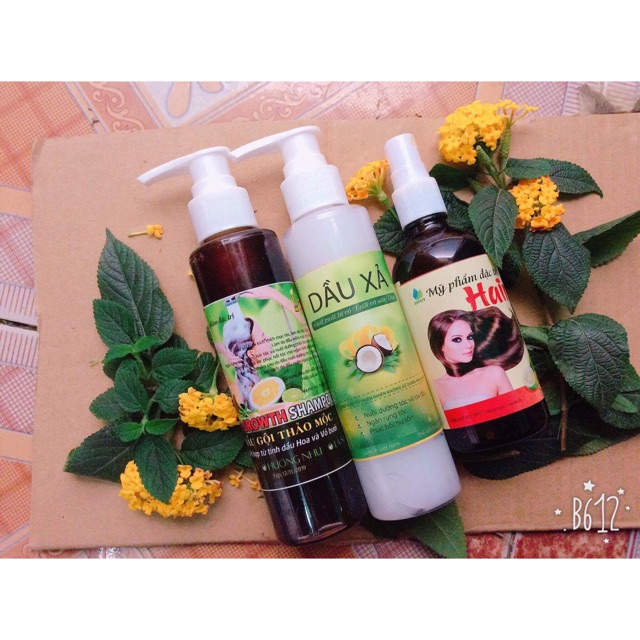 Bộ dầu thảo dược