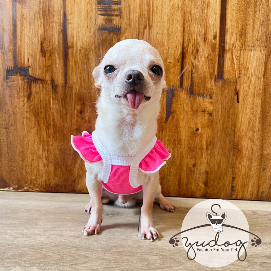 Áo dây cánh tiên phom croptop mặc cho chó mèo - áo chó mèo dễ thương yudog