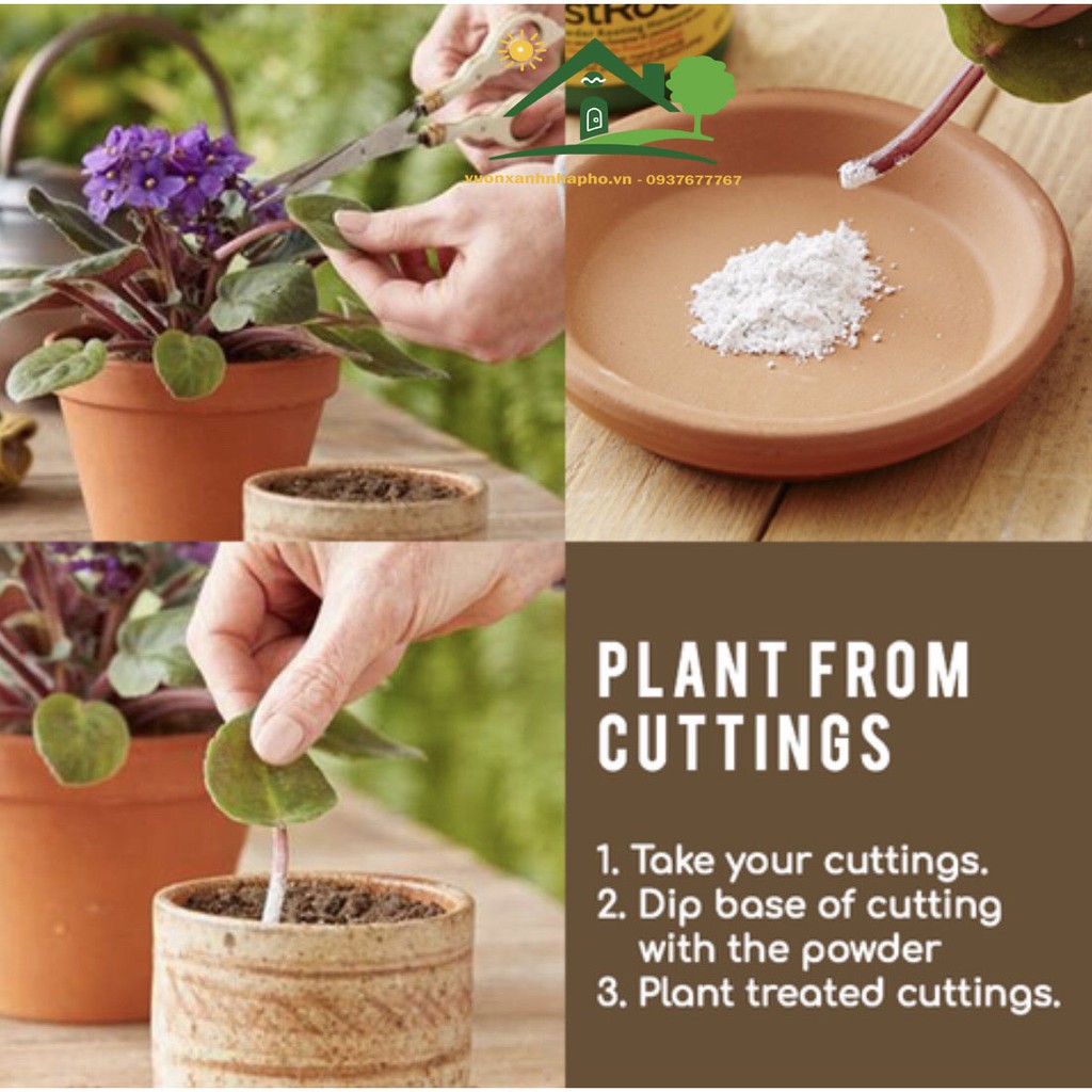 Bột siêu kích rễ Rooting-powder hàng Mỹ lọ 35g