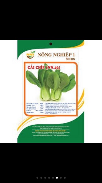 Hạt giống cải chíp