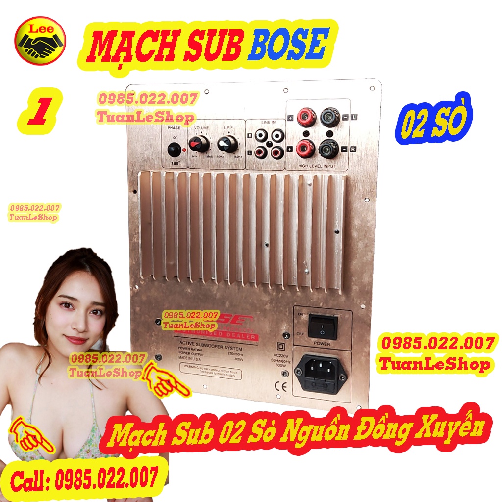 MẠCH CÔNG SUẤT LOA SUB ĐIỆN NGUỒN XUYẾN SIÊU TRẦM BO SE 2 SÒ TO SHI BA