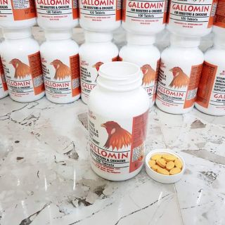 Thuốc gà đá Gallomin hộp 100v