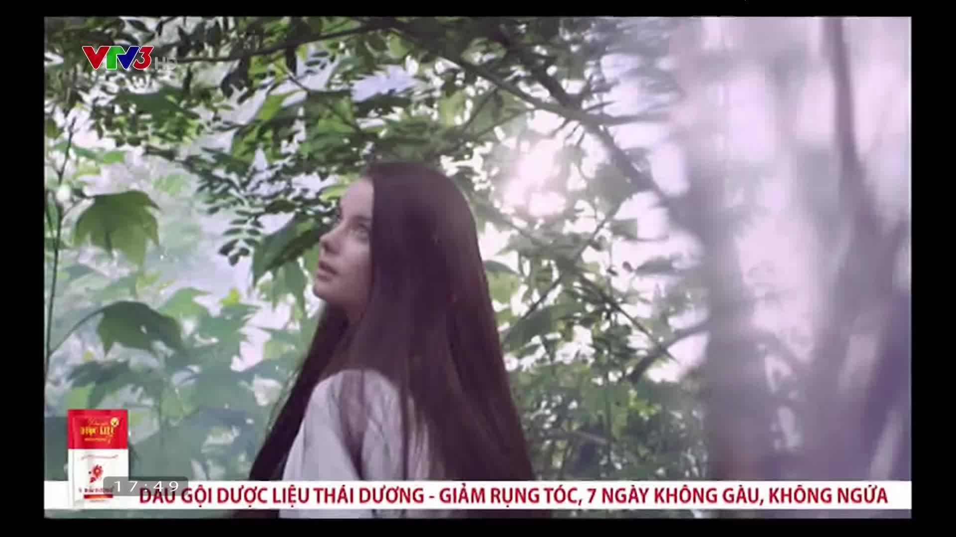 [ NEW ] DẦU GỘI DƯỢC LIỆU THÁI DƯƠNG 3 HƯƠNG HOA, LÁ , dưỡng tóc mềm mượt, sạch gàu, hết ngứa, giảm rụng tóc | BigBuy360 - bigbuy360.vn