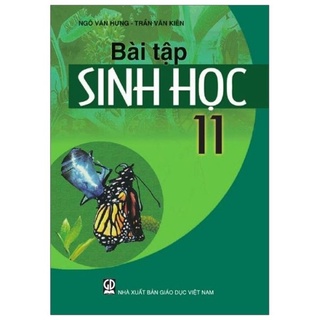 Sách bài tập lớp 11 - giáo dục