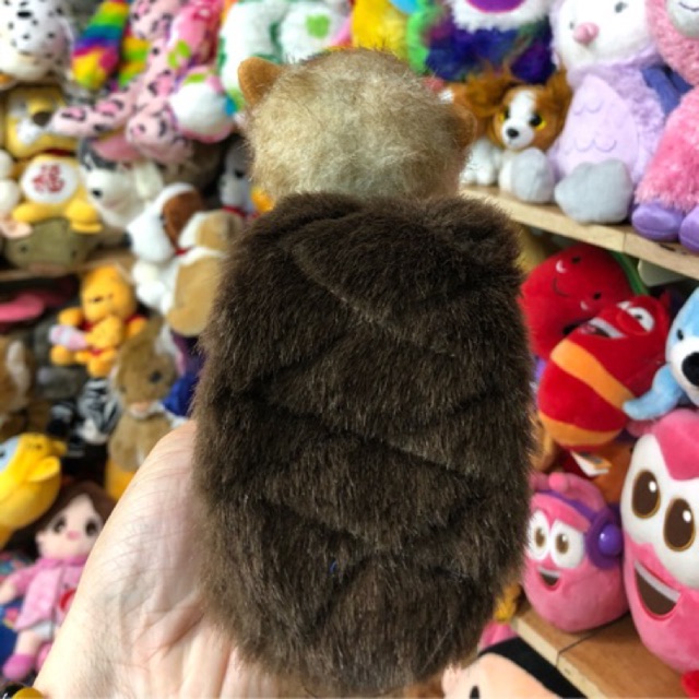 Gấu bông độc lạ