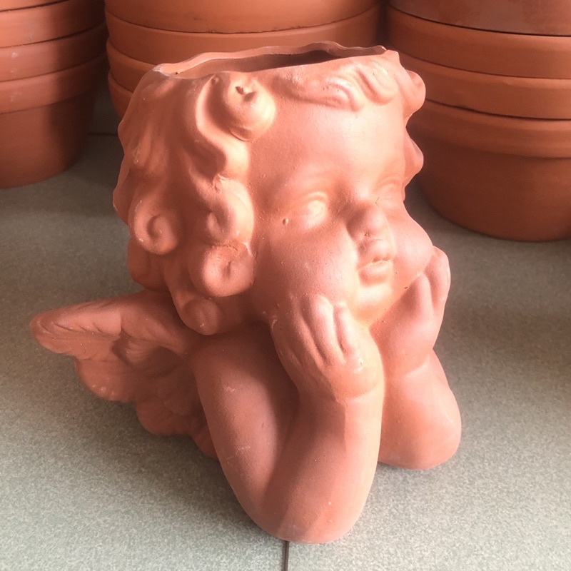CHẬU TRỒNG CÂY HÌNH THIÊN THẦN 👼