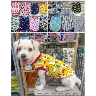 🐶🐱 Áo thun Thái hoạt hình cho chó mèo