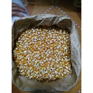 1kg Ngô nổ làm bắp rang bơ (bỏng ngô)