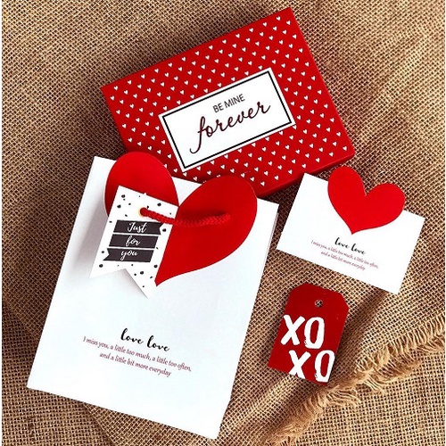 HỘP SOCOLA VALENTINE 12 VIÊN / 2122.110