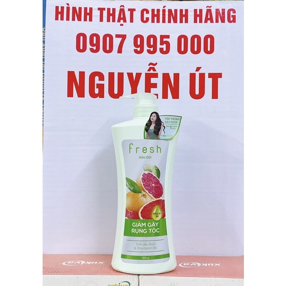 dầu gội fresh 650g