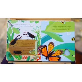 Sách - Peep Inside Bug Homes