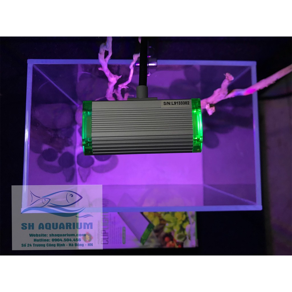 Đèn led kẹp Up Aqua Clip Light Mini