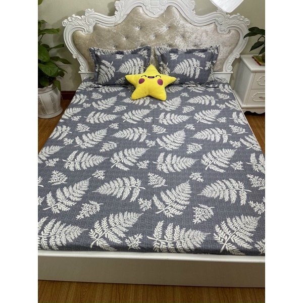 Bộ ga gối bo chun cotton 100% thoáng mát , thấm hút mồ hôi tốt hàng loại 1 dày dặn