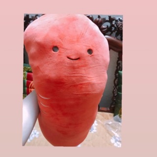 CÀ RỐT BÔNG BRIGHTWIN