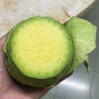 Bơ sáp đà lạt