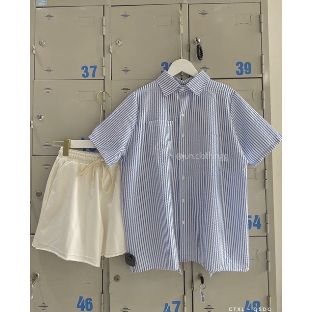 Áo Sơmi kẻ chất xốp XẺ LƯNG cộc tay Jamoo