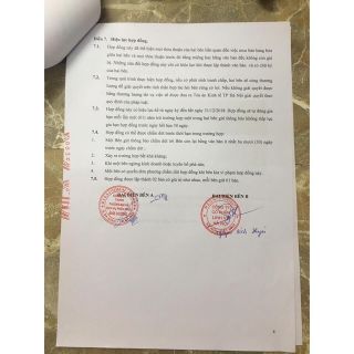 Bộ 2 Núm ty Comotomo Y-cut trên 6 tháng