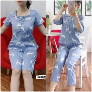 Đồ Bộ Kiểu 💖FREESHIP💖 Gỉam 10k khi nhập [Đồ Bộ Nữ ] Đồ Bộ Nữ Mặc Nhà hàng vnxk