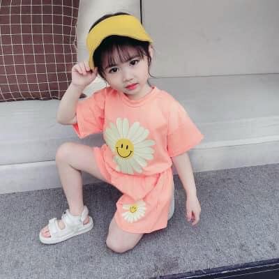 Bộ đồ bé gái mùa hè họa tiết hoa cúc dễ thương - đồ bé gái từ 8 đến 18kg - bộ bé gái chất cotton loại đẹp không chọn màu