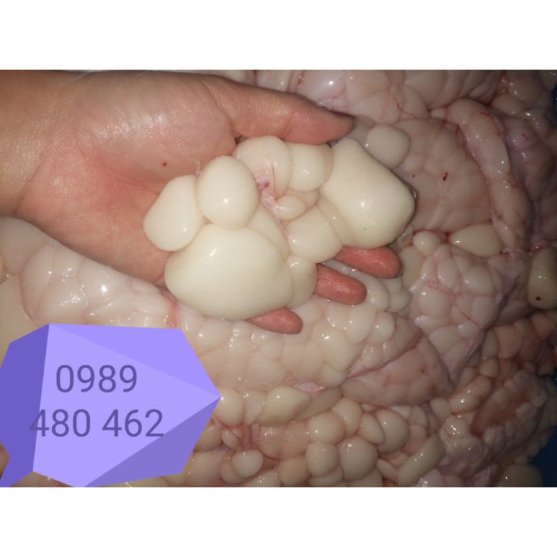 0.5 ký mỡ trăn tươi nguyên chất