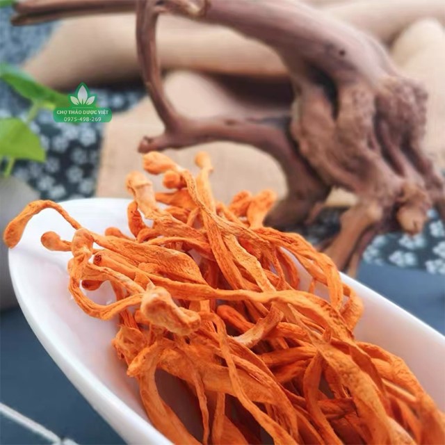 1Kg Đông trùng hạ thảo sấy khô hảo hạng vàng, thơm, bổ dưỡng