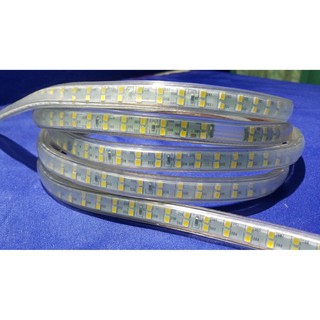 Dây led hắt trang trí 2 mắt ( đơn giá /m )