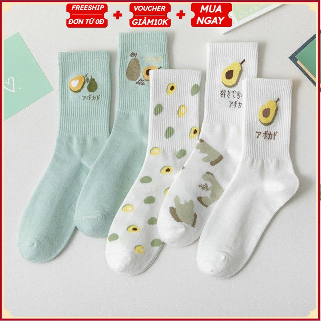 PVN35260 Set 5 đôi tất nữ cao cổ Chiang đáng yêu hình trái bơ T2
