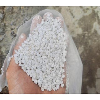 Đá perlite trồng sen ( Đá trân châu) giúp cây thoát nước tốt