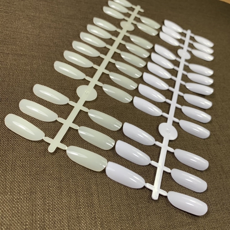 Vỉ 24 móng vẽ mẫu, móng giả thực hành vẽ móng