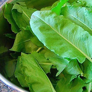 1Gr Hạt Giống Rau Chua Sorrel luckyseed hạt siêu rẻ