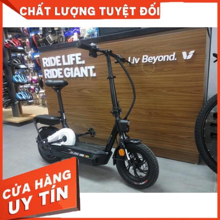 Xe đạp trợ lực điện Giant JIEJING E+ bánh 12 inchs, gập gọn