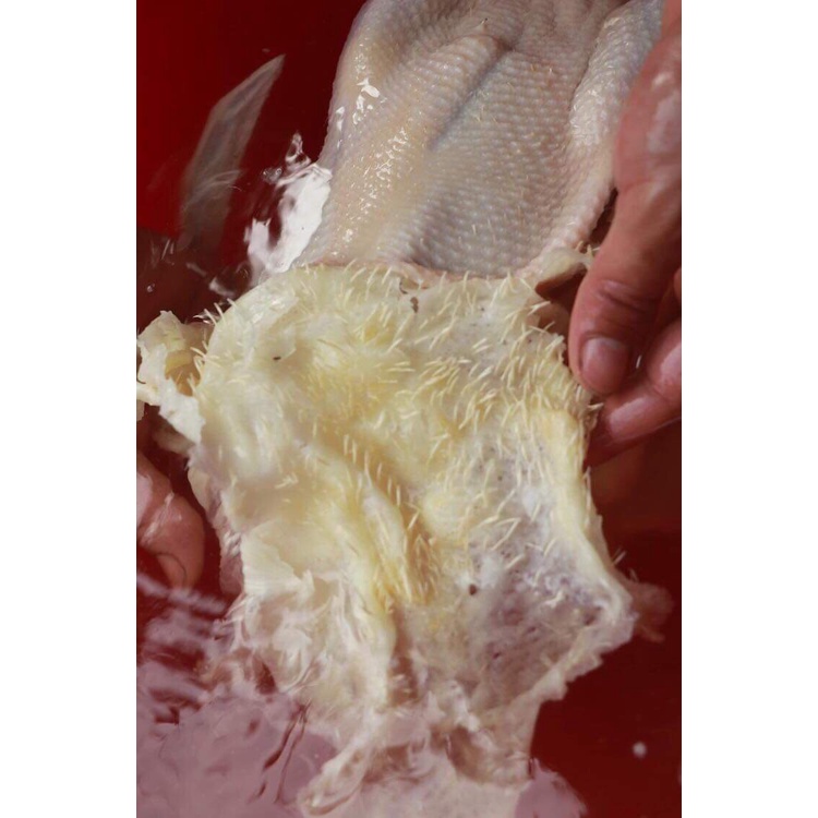 1kg sáp vặt lông gà,vịt -Sáp Vặt Lông Gia Cầm