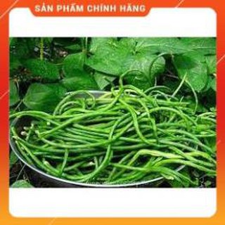HẠT GIỐNG ĐẬU ĐŨA CAO SẢN
