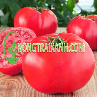 200h - hạt giống cà chua đỏ quả to ấn độ