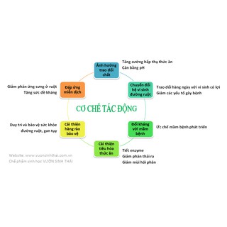 chế phẩm vi sinh EM gốc bôt