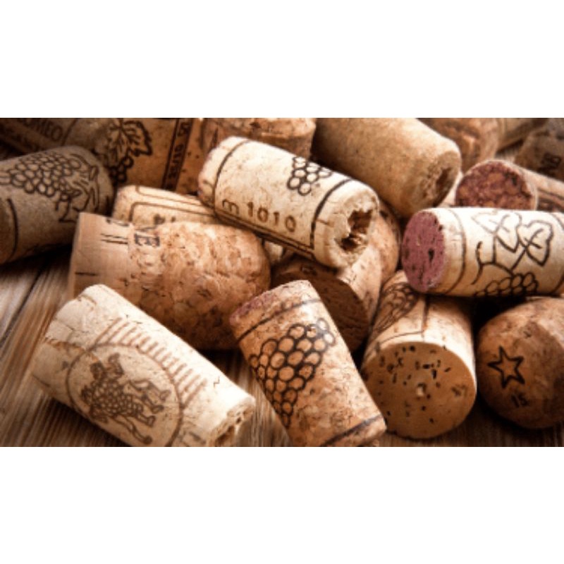 Nút chai Vang xịn sò decor