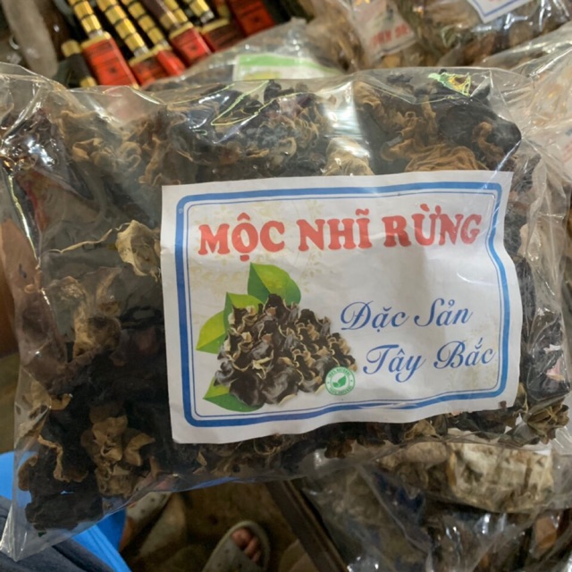 Mộc nhĩ rừng