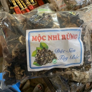 Mộc nhĩ rừng