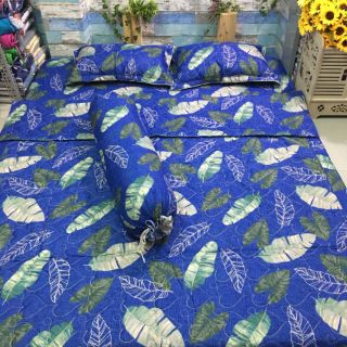 Drap cotton poly full nguyên bộ 5 món