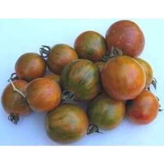 Hạt giống cà chua zera socola